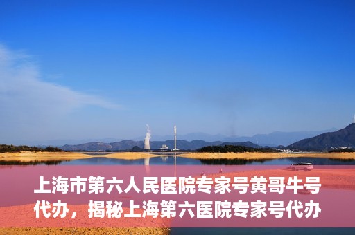 上海市第六人民医院专家号黄哥牛号代办，揭秘上海第六医院专家号代办背后的故事，黄哥牛号代办真相揭秘