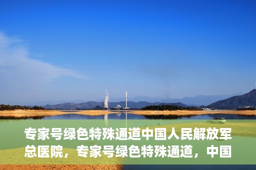 专家号绿色特殊通道中国人民解放军总医院，专家号绿色特殊通道，中国人民解放军总医院医疗服务的深度解读
