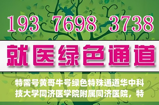 特需号黄哥牛号绿色特殊通道华中科技大学同济医学院附属同济医院，特需号黄哥牛号背后的绿色特殊通道，华中科技大学同济医学院附属同济医院的探索与实践