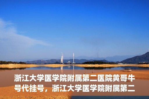 浙江大学医学院附属第二医院黄哥牛号代挂号，浙江大学医学院附属第二医院黄哥牛号挂号服务解析
