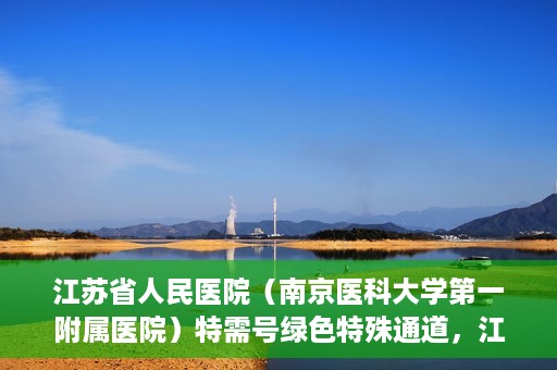 江苏省人民医院（南京医科大学第一附属医院）特需号绿色特殊通道，江苏省人民医院特需号绿色通道的便捷就医体验