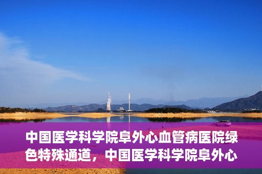 中国医学科学院阜外心血管病医院绿色特殊通道，中国医学科学院阜外心血管病医院开通绿色特殊通道，助力患者快速康复之路