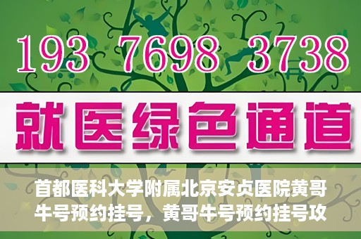 首都医科大学附属北京安贞医院黄哥牛号预约挂号，黄哥牛号预约挂号攻略，首都医科大学附属北京安贞医院就医指南