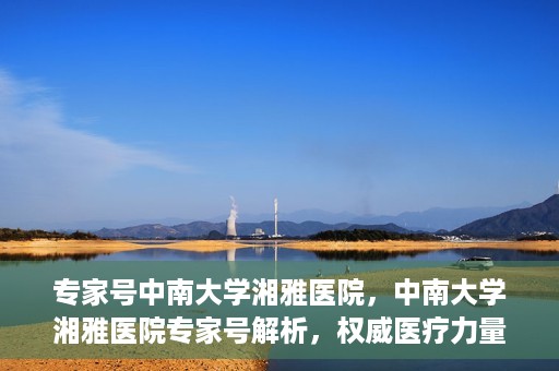 专家号中南大学湘雅医院，中南大学湘雅医院专家号解析，权威医疗力量的深度解读