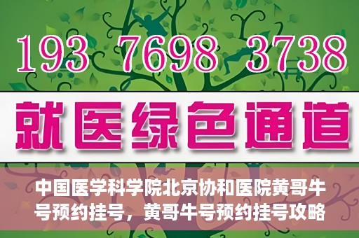 中国医学科学院北京协和医院黄哥牛号预约挂号，黄哥牛号预约挂号攻略，中国医学科学院北京协和医院就医指南