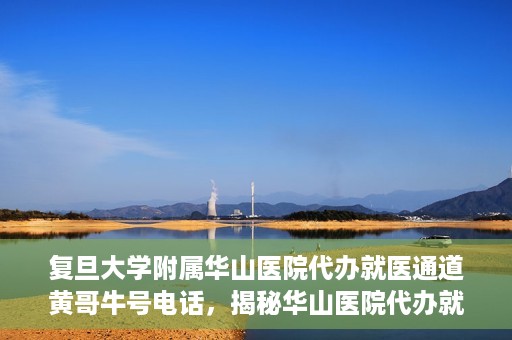 复旦大学附属华山医院代办就医通道黄哥牛号电话，揭秘华山医院代办就医通道，黄哥牛号电话背后的故事