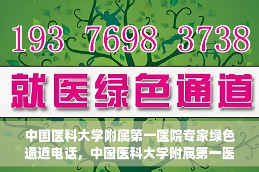 中国医科大学附属第一医院专家绿色通道电话，中国医科大学附属第一医院专家绿色通道热线电话揭秘