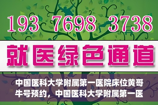 中国医科大学附属第一医院床位黄哥牛号预约，中国医科大学附属第一医院床位预约攻略，黄哥牛号预约详解