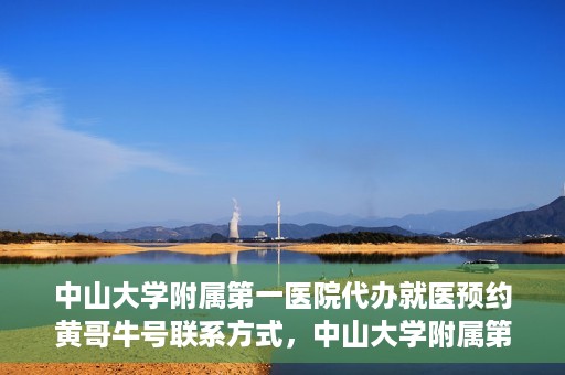 中山大学附属第一医院代办就医预约黄哥牛号联系方式，中山大学附属第一医院预约就医预约联系方式揭秘，黄哥牛号助您轻松挂号就医