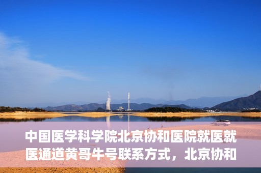中国医学科学院北京协和医院就医就医通道黄哥牛号联系方式，北京协和医院就医通道解析，黄哥牛号联系方式揭秘
