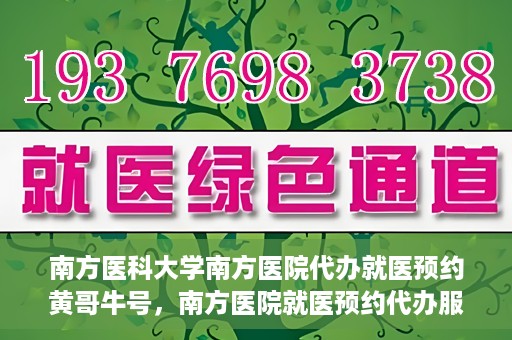 南方医科大学南方医院代办就医预约黄哥牛号，南方医院就医预约代办服务背后的故事，黄哥牛号引领便捷就医新风尚