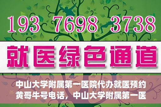 中山大学附属第一医院代办就医预约黄哥牛号电话，中山大学附属第一医院预约就医助手黄哥牛联系方式揭秘