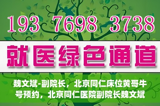 魏文斌-副院长，北京同仁床位黄哥牛号预约，北京同仁医院副院长魏文斌揭秘床位预约秘籍——黄哥牛号预约攻略