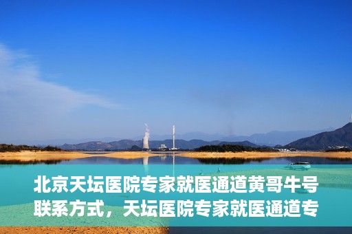 北京天坛医院专家就医通道黄哥牛号联系方式，天坛医院专家就医通道专家联系方式揭秘，黄哥牛号就医指南