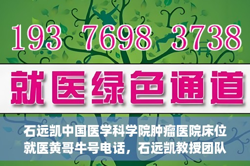 石远凯中国医学科学院肿瘤医院床位就医黄哥牛号电话，石远凯教授团队就医攻略，中国医学科学院肿瘤医院床位预约与黄哥牛号联系电话揭秘