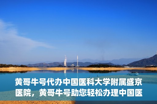 黄哥牛号代办中国医科大学附属盛京医院，黄哥牛号助您轻松办理中国医科大学附属盛京医院手续！