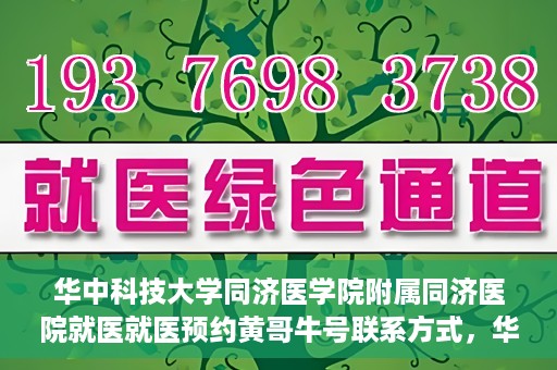 华中科技大学同济医学院附属同济医院就医就医预约黄哥牛号联系方式，华中科技大学同济医院就医预约联系方式揭秘，黄哥牛号预约渠道及联系方式解析