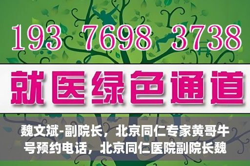 魏文斌-副院长，北京同仁专家黄哥牛号预约电话，北京同仁医院副院长魏文斌与专家黄哥牛号预约热线揭秘