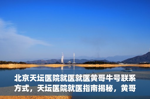 北京天坛医院就医就医黄哥牛号联系方式，天坛医院就医指南揭秘，黄哥牛号联系方式曝光