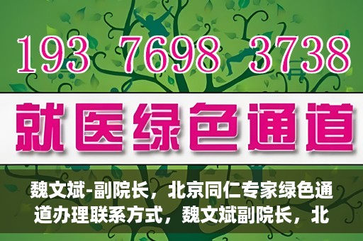 魏文斌-副院长，北京同仁专家绿色通道办理联系方式，魏文斌副院长，北京同仁专家绿色通道联系方式全解析