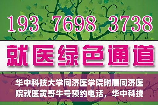 华中科技大学同济医学院附属同济医院就医黄哥牛号预约电话，华中科技大学同济医院就医黄哥牛号预约热线解析