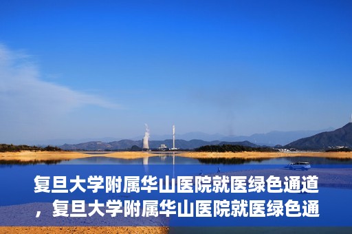 复旦大学附属华山医院就医绿色通道，复旦大学附属华山医院就医绿色通道，打造便捷医疗体验新标杆