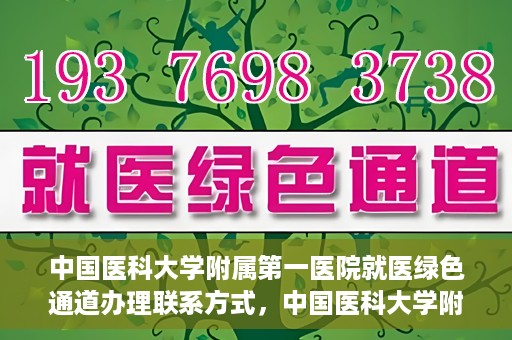 中国医科大学附属第一医院就医绿色通道办理联系方式，中国医科大学附属第一医院就医绿色通道联系指南，快速办理就医手续，轻松享受优质服务！