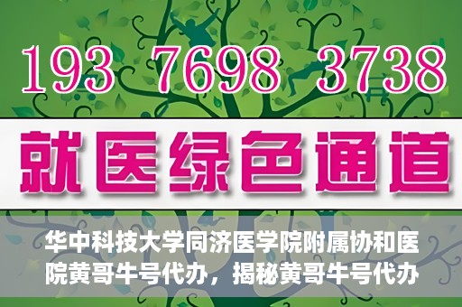 华中科技大学同济医学院附属协和医院黄哥牛号代办，揭秘黄哥牛号代办背后的故事，华中科技大学同济医学院附属协和医院就医新途径探索