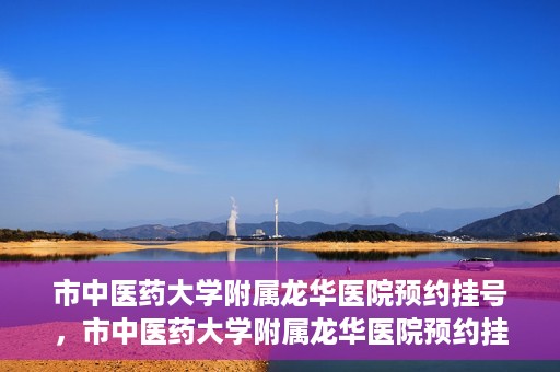 市中医药大学附属龙华医院预约挂号，市中医药大学附属龙华医院预约挂号攻略，一站式解决您的挂号难题