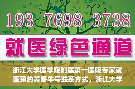 浙江大学医学院附属第一医院专家就医预约黄哥牛号联系方式，浙江大学医学院附属第一医院专家就医预约，黄哥牛号联系方式全解析