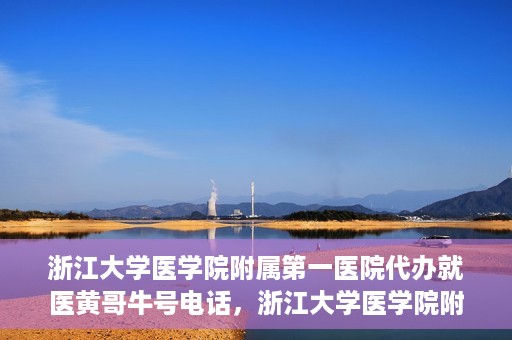 浙江大学医学院附属第一医院代办就医黄哥牛号电话，浙江大学医学院附属第一医院就医代办服务黄哥牛号联系电话揭秘