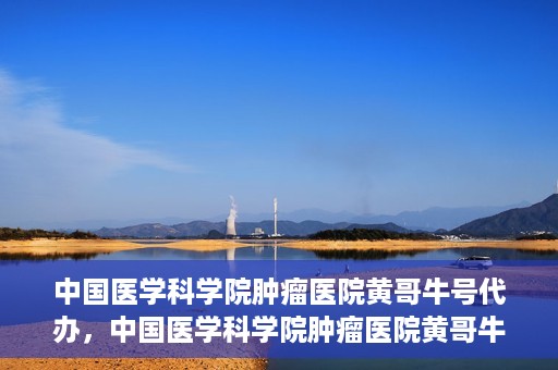 中国医学科学院肿瘤医院黄哥牛号代办，中国医学科学院肿瘤医院黄哥牛号挂号代办服务解析