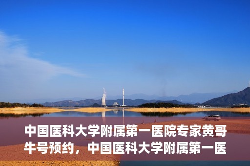 中国医科大学附属第一医院专家黄哥牛号预约，中国医科大学附属第一医院专家黄哥牛预约挂号攻略