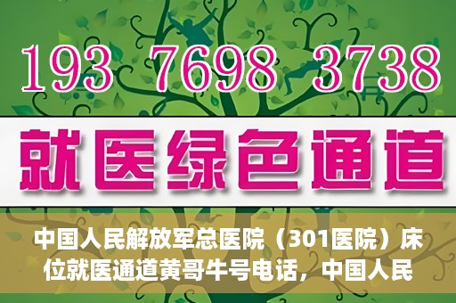 中国人民解放军总医院（301医院）床位就医通道黄哥牛号电话，中国人民解放军总医院（301医院）床位预约就医通道详解，黄哥牛号电话与预约指南