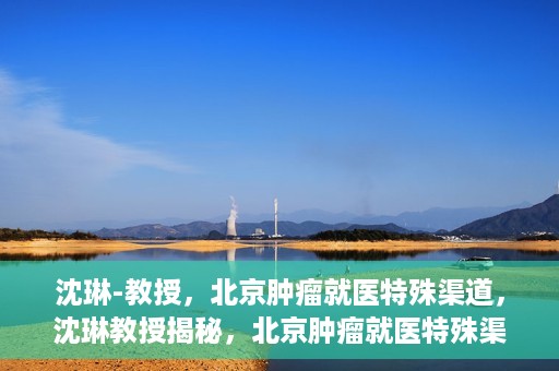 沈琳-教授，北京肿瘤就医特殊渠道，沈琳教授揭秘，北京肿瘤就医特殊渠道解析