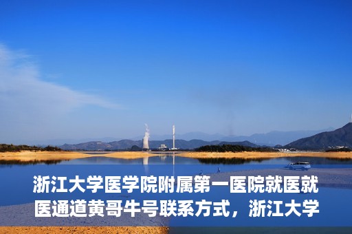 浙江大学医学院附属第一医院就医就医通道黄哥牛号联系方式，浙江大学医学院附属第一医院就医通道详解，黄哥牛号联系方式全攻略