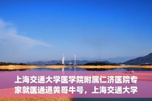 上海交通大学医学院附属仁济医院专家就医通道黄哥牛号，上海交通大学医学院附属仁济医院专家就医通道，黄哥牛号助您轻松挂号就医