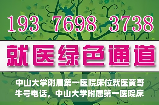 中山大学附属第一医院床位就医黄哥牛号电话，中山大学附属第一医院床位预约就医攻略，黄哥牛号电话全解析