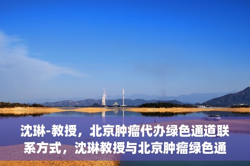 沈琳-教授，北京肿瘤代办绿色通道联系方式，沈琳教授与北京肿瘤绿色通道，联系代办，开启健康新篇章
