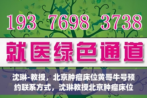 沈琳-教授，北京肿瘤床位黄哥牛号预约联系方式，沈琳教授北京肿瘤床位预约联系方式及黄哥牛号指南