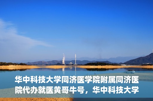 华中科技大学同济医学院附属同济医院代办就医黄哥牛号，华中科技大学同济医院就医黄哥牛号代办服务解析
