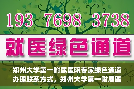 郑州大学第一附属医院专家绿色通道办理联系方式，郑州大学第一附属医院专家绿色通道联系指南，一站式解决您的咨询需求