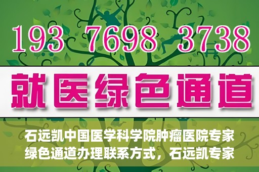 石远凯中国医学科学院肿瘤医院专家绿色通道办理联系方式，石远凯专家绿色通道办理指南，中国医学科学院肿瘤医院联系方式揭秘