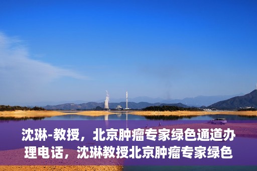 沈琳-教授，北京肿瘤专家绿色通道办理电话，沈琳教授北京肿瘤专家绿色通道联系电话