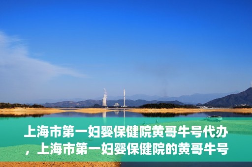 上海市第一妇婴保健院黄哥牛号代办，上海市第一妇婴保健院的黄哥牛号代办服务解析