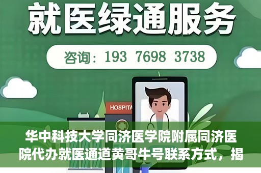 华中科技大学同济医学院附属同济医院代办就医通道黄哥牛号联系方式，揭秘黄哥牛号，同济医院就医通道代办联系方式与操作指南