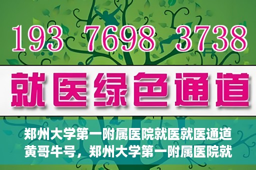 郑州大学第一附属医院就医就医通道黄哥牛号，郑州大学第一附属医院就医通道解析，黄哥牛号的实践之路