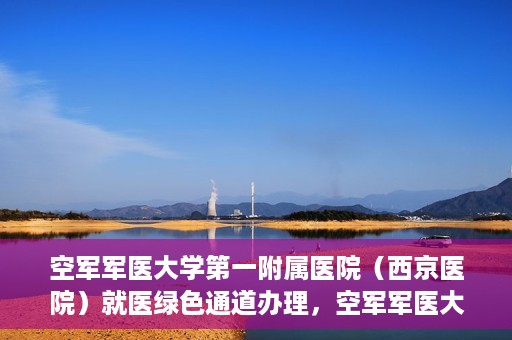 空军军医大学第一附属医院（西京医院）就医绿色通道办理，空军军医大学第一附属医院就医绿色通道办理详解，便捷就医，从这里开始！