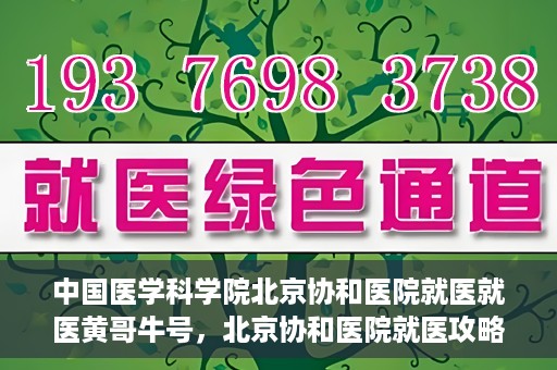 中国医学科学院北京协和医院就医就医黄哥牛号，北京协和医院就医攻略，黄哥牛号助您轻松挂号就医