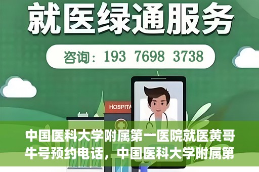 中国医科大学附属第一医院就医黄哥牛号预约电话，中国医科大学附属第一医院就医预约电话及黄哥牛号预约攻略